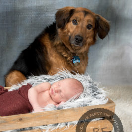Columbus Ohio Newborn Photography