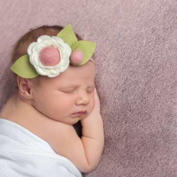 Newborn Portrait Photography | In home Studio Photos