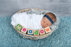 newborn photos powell ohio
